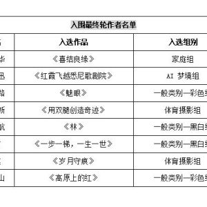 2026 第十五届哈姆丹国际摄影奖（HIPA）入围终评名单公布