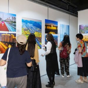 翰墨镜观颂党恩，半马苏河绘新卷——普陀区美术书法摄影作品展精彩呈现 ...