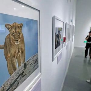 定格自然之美！国际野生生物摄影展亮相杭州