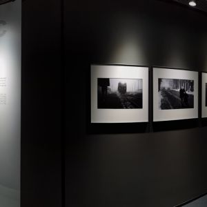 《烽火台》巨幅之下，照片失语：摄影展览的尺度迷思