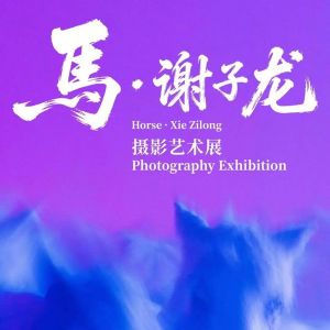 《马·谢子龙摄影艺术展》火热展出中，速来观展