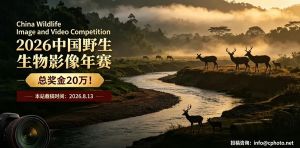 总奖金20万！ 2026中国野生生物影像年赛
