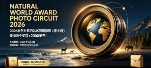 设409个奖项+2000美元！2026自然世界四站巡回摄影展（意大利） ...