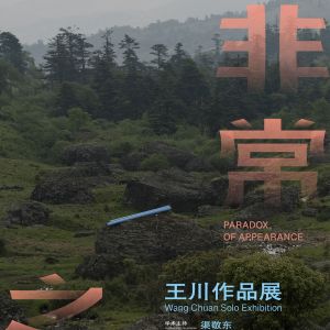 壹美官方丨“非常之常——王川作品展”开幕
