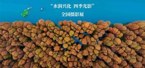“水润兴化 四季光影”全国摄影展