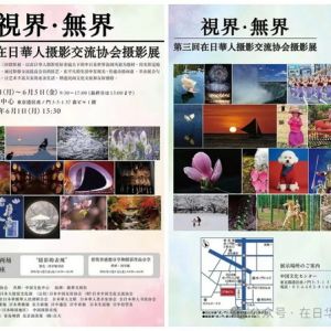【那些被定格的光：记第三届在日华人摄影展】（3）