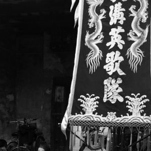 有一种摄影人，拍了二十年，为什么还是个爱好者